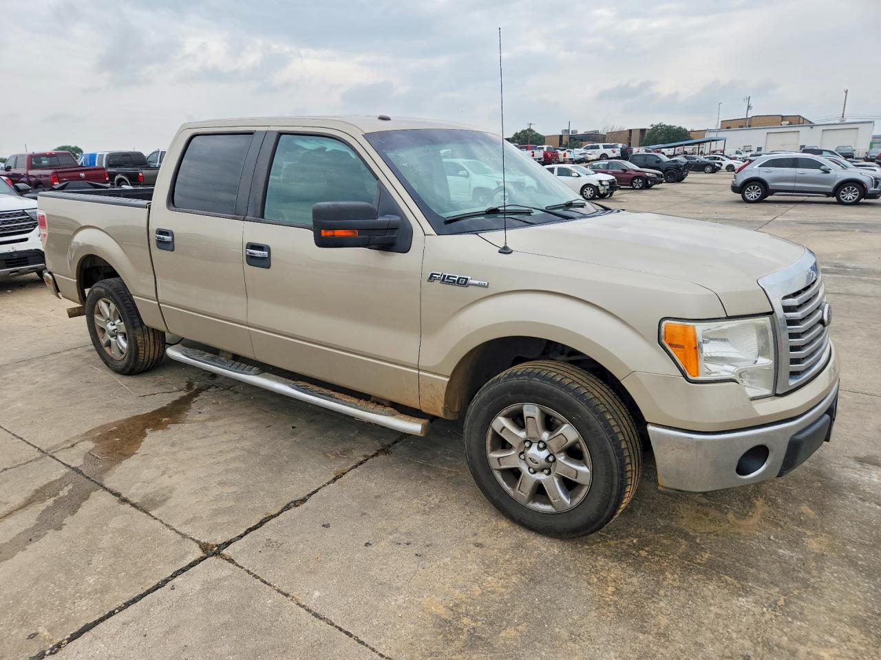 2010 Ford F150 Supercrew Tan vin: 1FTEW1C83AFD86634