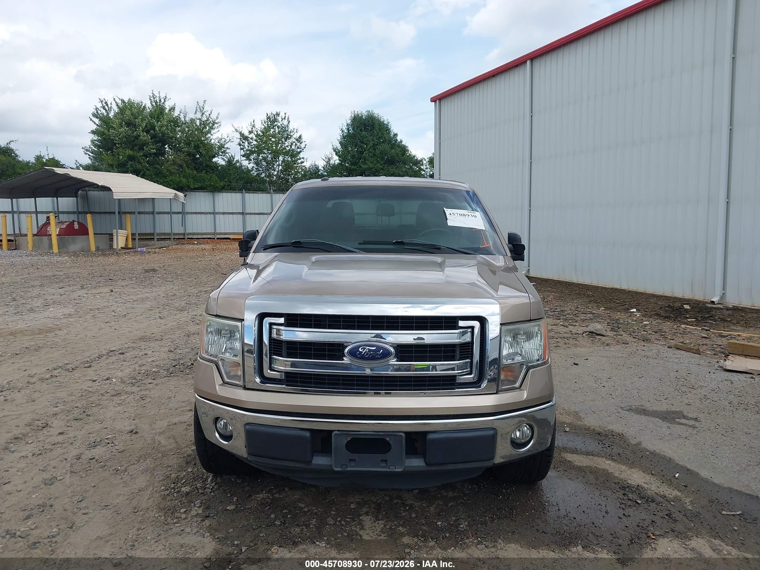 2013 Ford F-150 Xlt Gold vin: 1FTEW1CM2DFD77733