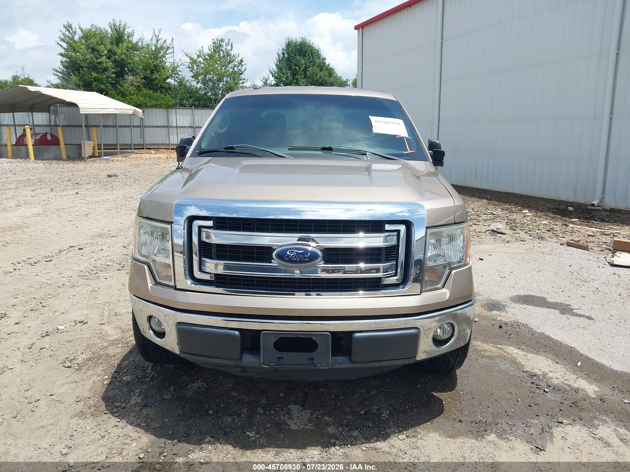 2013 Ford F-150 Xlt Gold vin: 1FTEW1CM2DFD77733