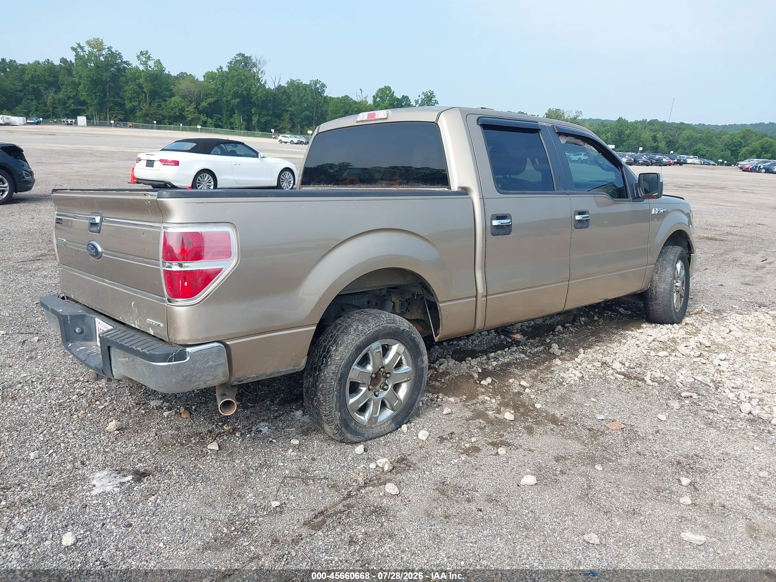 2013 Ford F-150 Xlt Gold vin: 1FTEW1CM5DFD53412