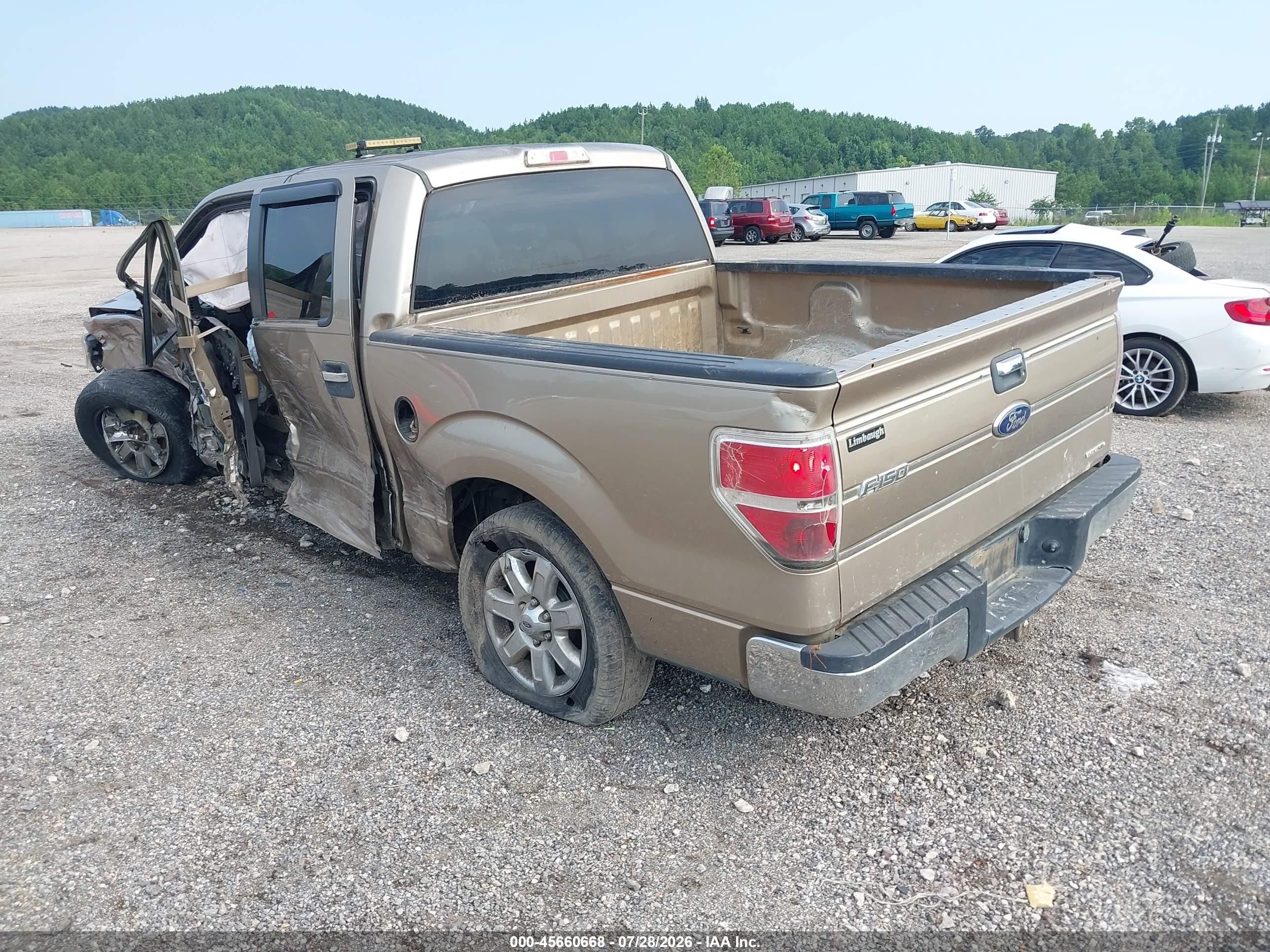 2013 Ford F-150 Xlt Gold vin: 1FTEW1CM5DFD53412