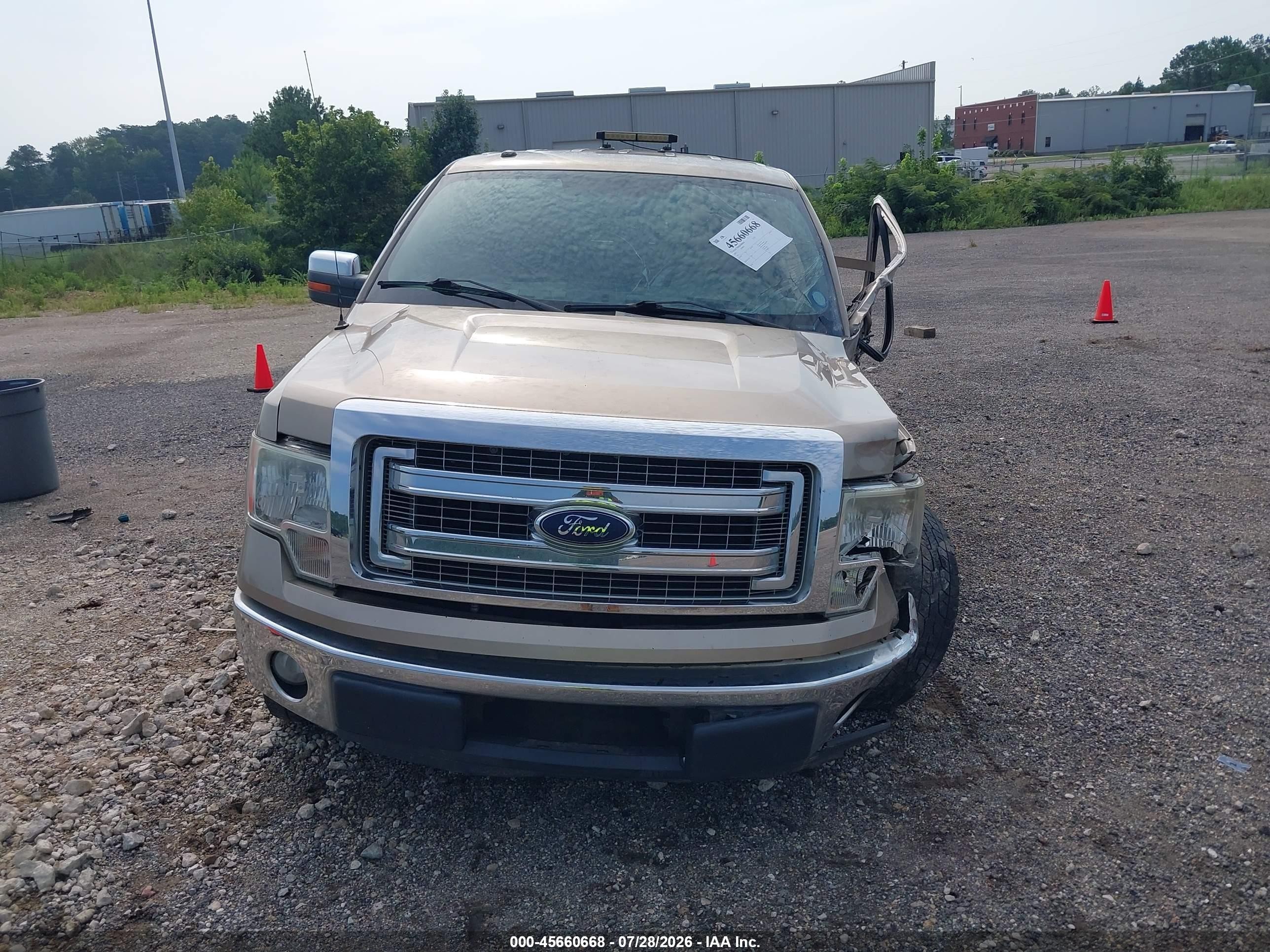 2013 Ford F-150 Xlt Gold vin: 1FTEW1CM5DFD53412