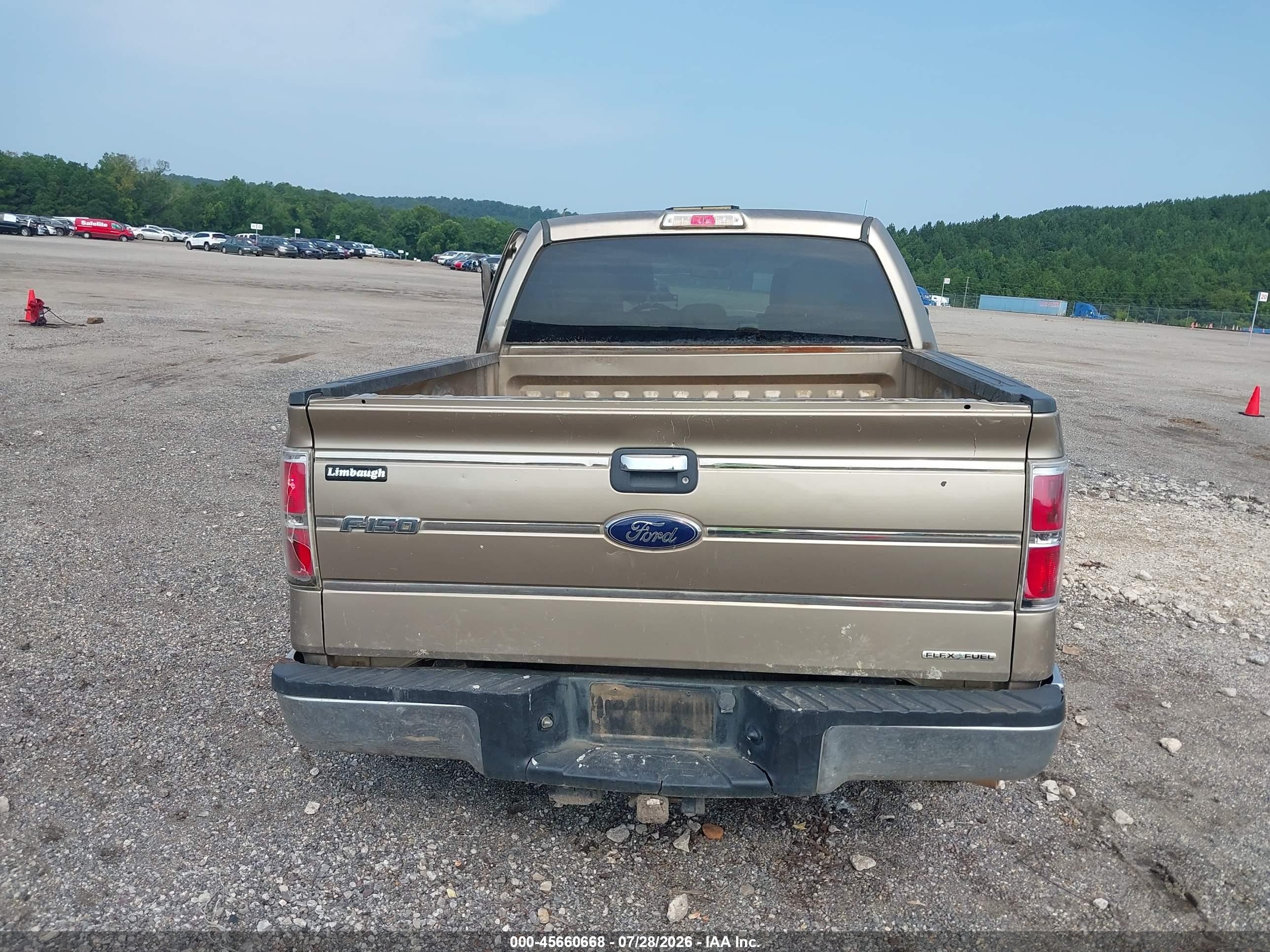 2013 Ford F-150 Xlt Gold vin: 1FTEW1CM5DFD53412