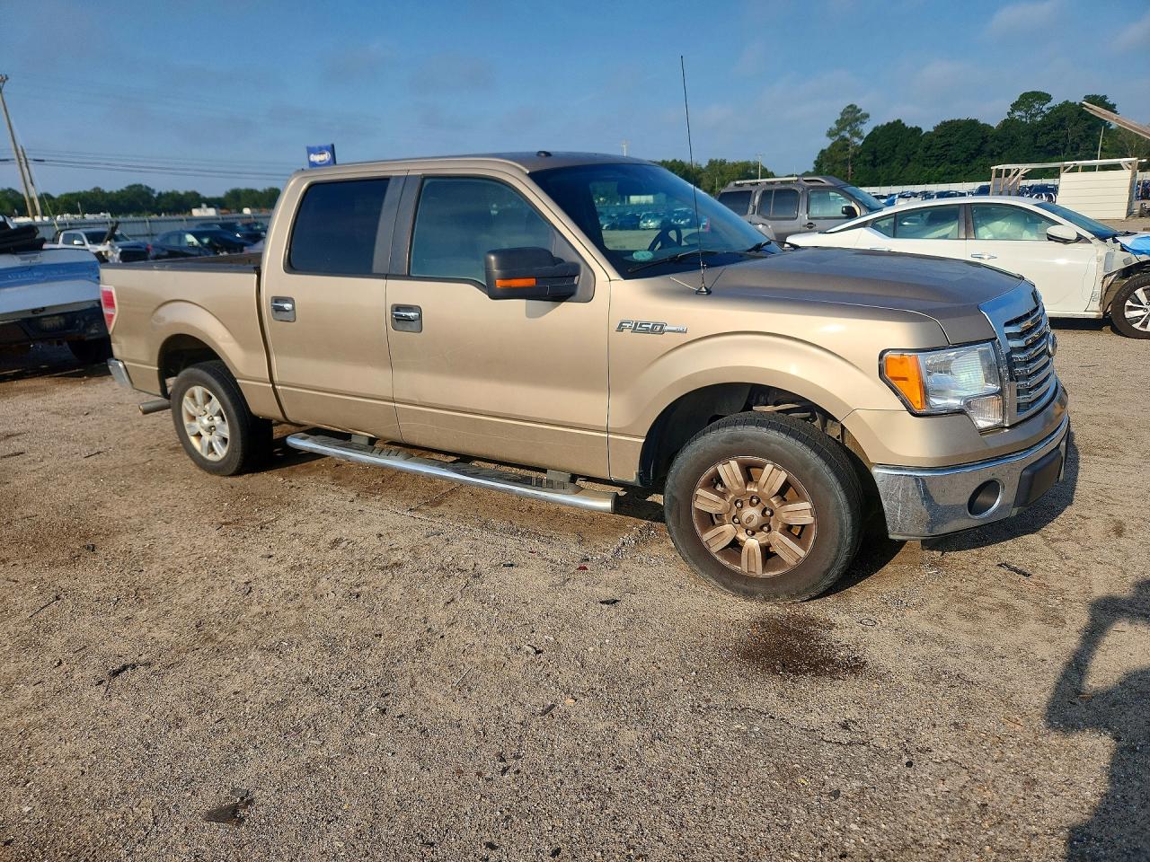 2011 Ford F150 Supercrew Tan vin: 1FTEW1CM9BFA91956
