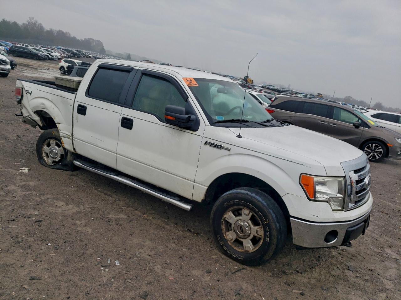 2010 Ford F150 Supercrew White vin: 1FTEW1E83AFB85104