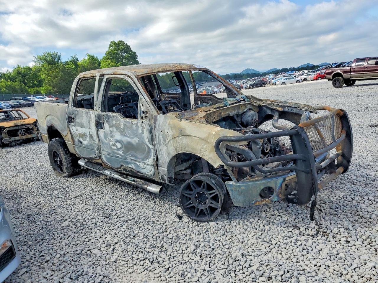 2010 Ford F150 Supercrew Burn vin: 1FTEW1E88AFB09653