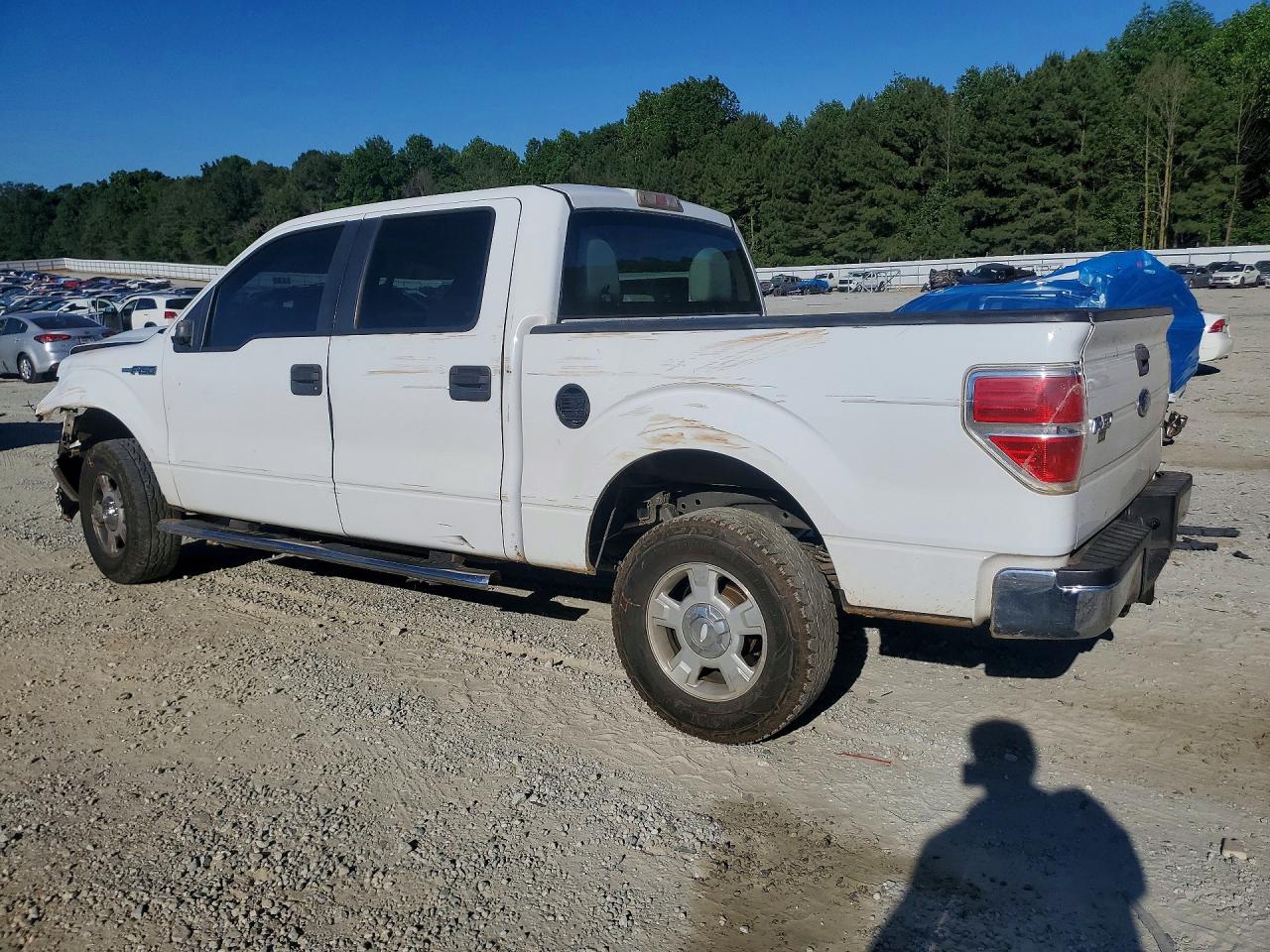 2010 Ford F150 Supercrew White vin: 1FTEW1E88AFB71070