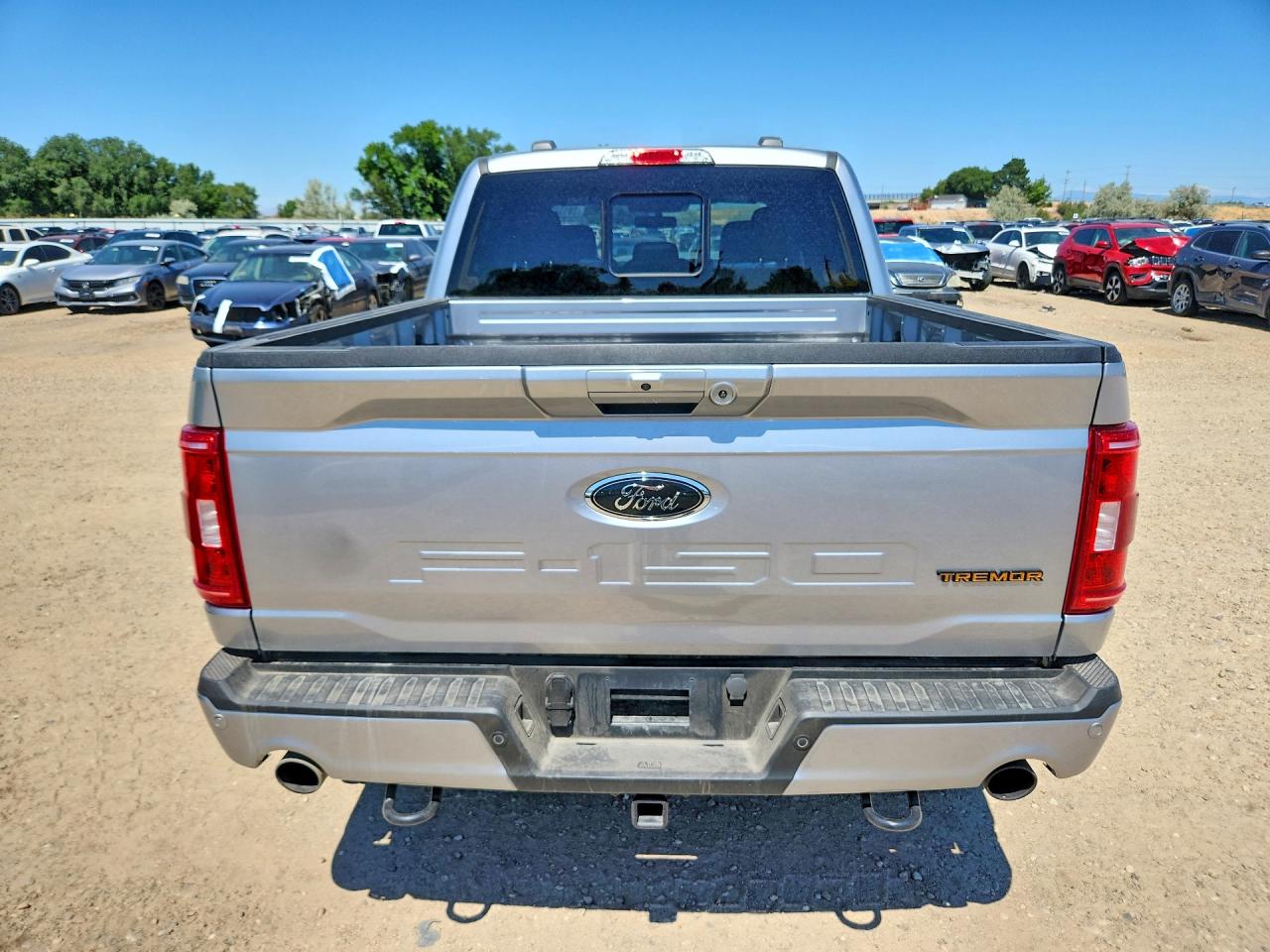 2023 Ford F150 Supercrew Gray vin: 1FTEW1E89PFB98030