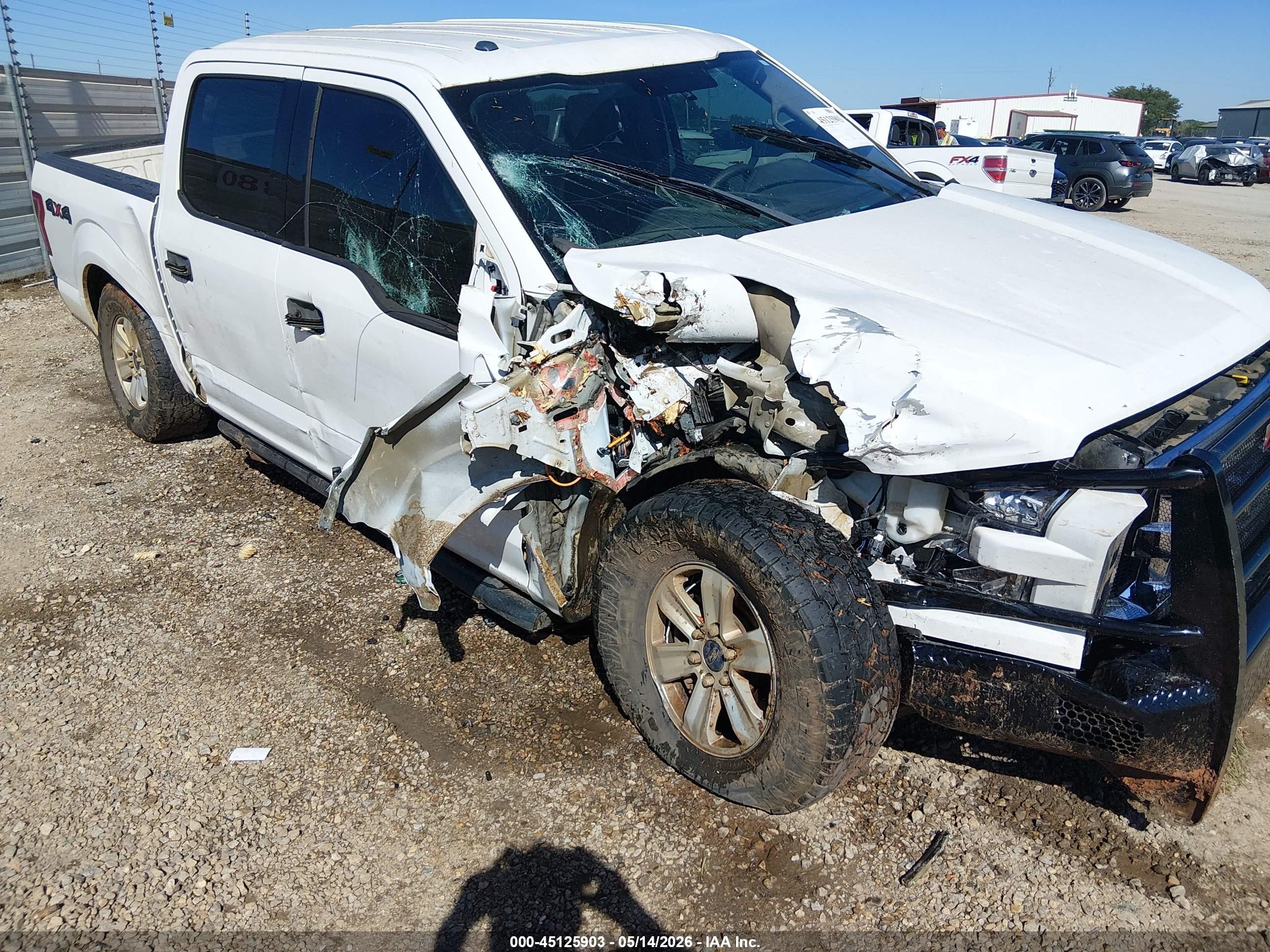 2015 Ford F-150 Xlt White vin: 1FTEW1EF3FFB74576