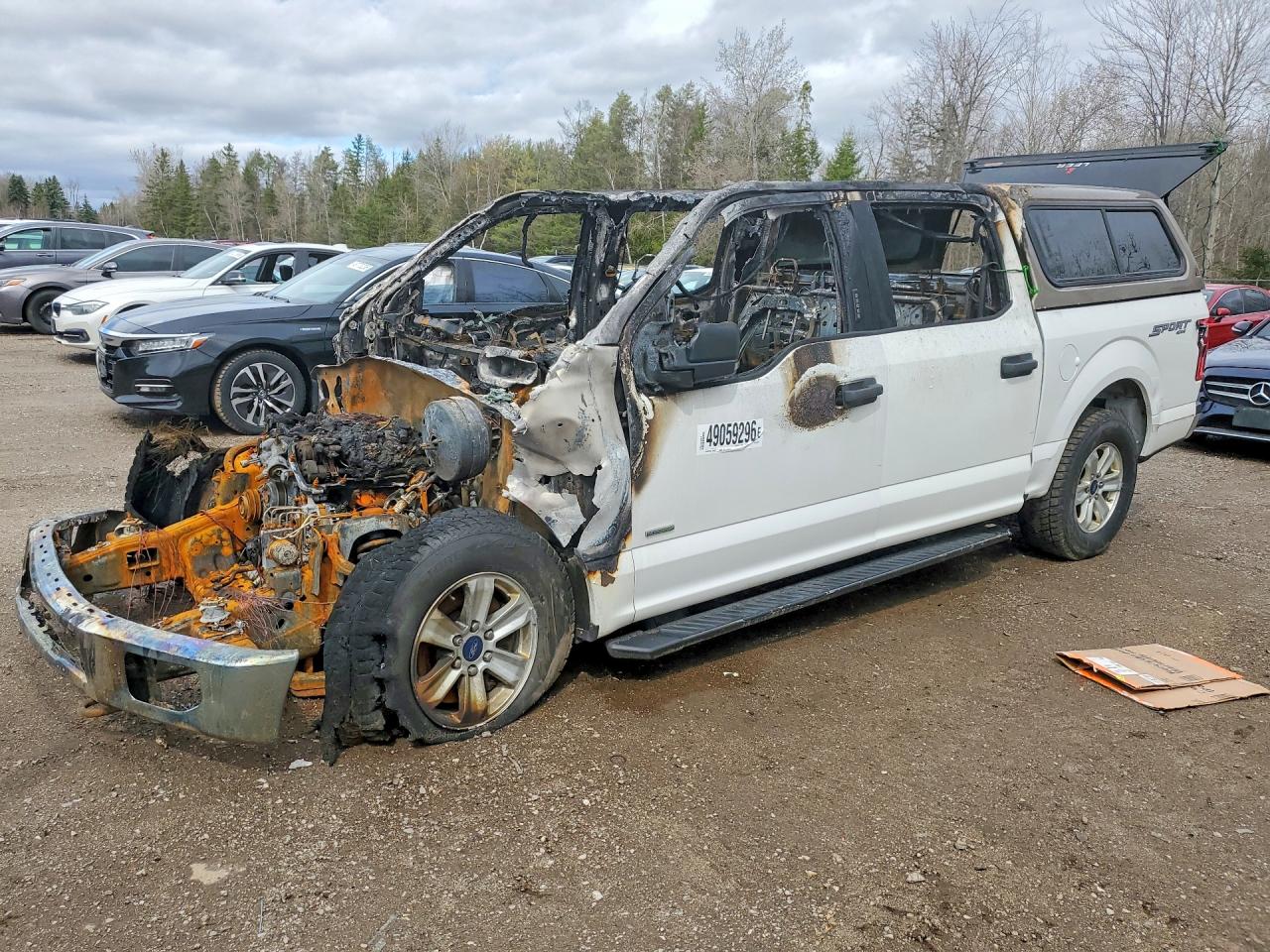 2015 Ford F150 Supercrew White vin: 1FTEW1EG8FFB92712