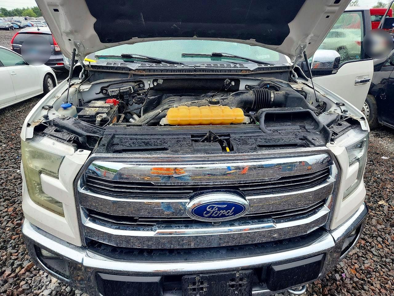 2015 Ford F150 Supercrew White vin: 1FTEW1EG9FFA05039