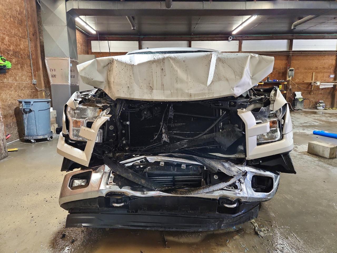 2017 Ford F150 Supercrew Beige vin: 1FTEW1EP5HFC34109