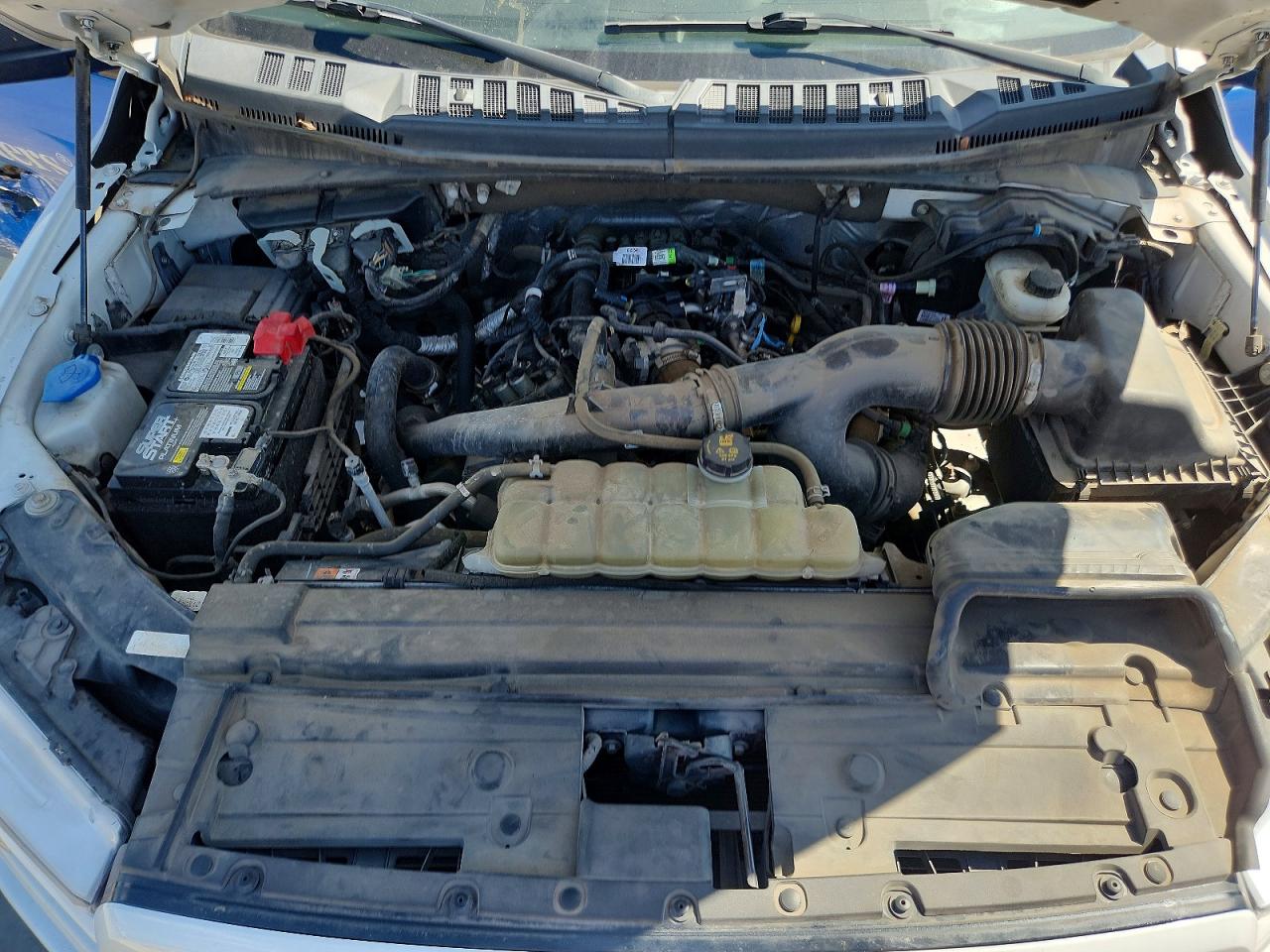 2020 Ford F150 Supercrew White vin: 1FTEW1EPXLKE04545