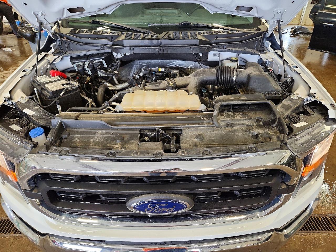2023 Ford F150 Supercrew White vin: 1FTEW1EPXPFB10707