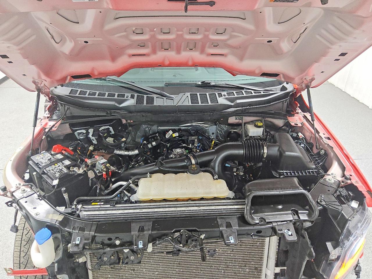 2024 Ford F150 Xl Red vin: 1FTEW1LP4RKD37971