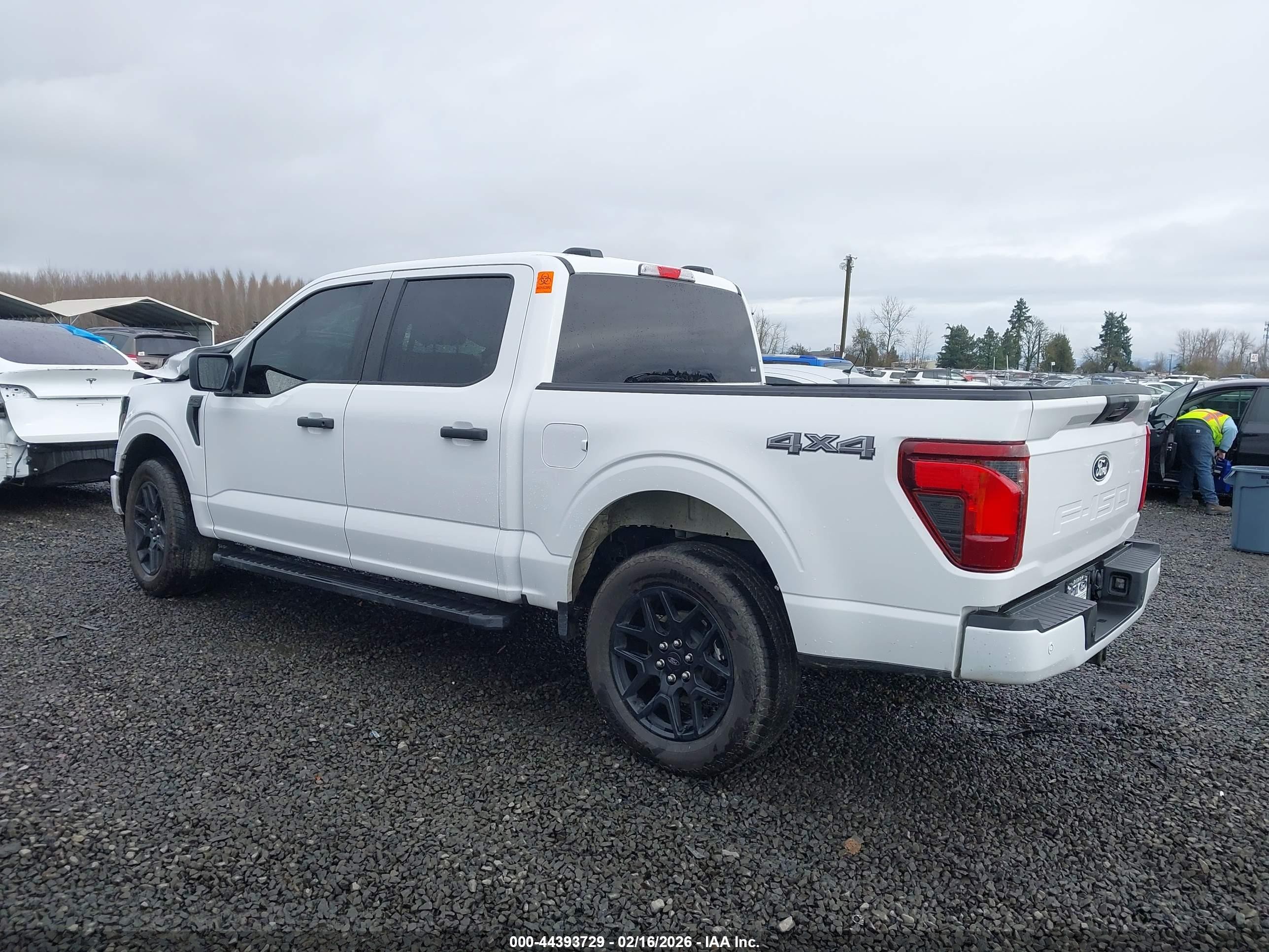 2025 Ford F-150 Stx White vin: 1FTEW2LP6SKE34097
