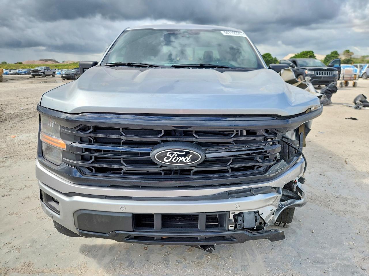 2025 Ford F150 Xlt Gray vin: 1FTEW3KP7SKF69693
