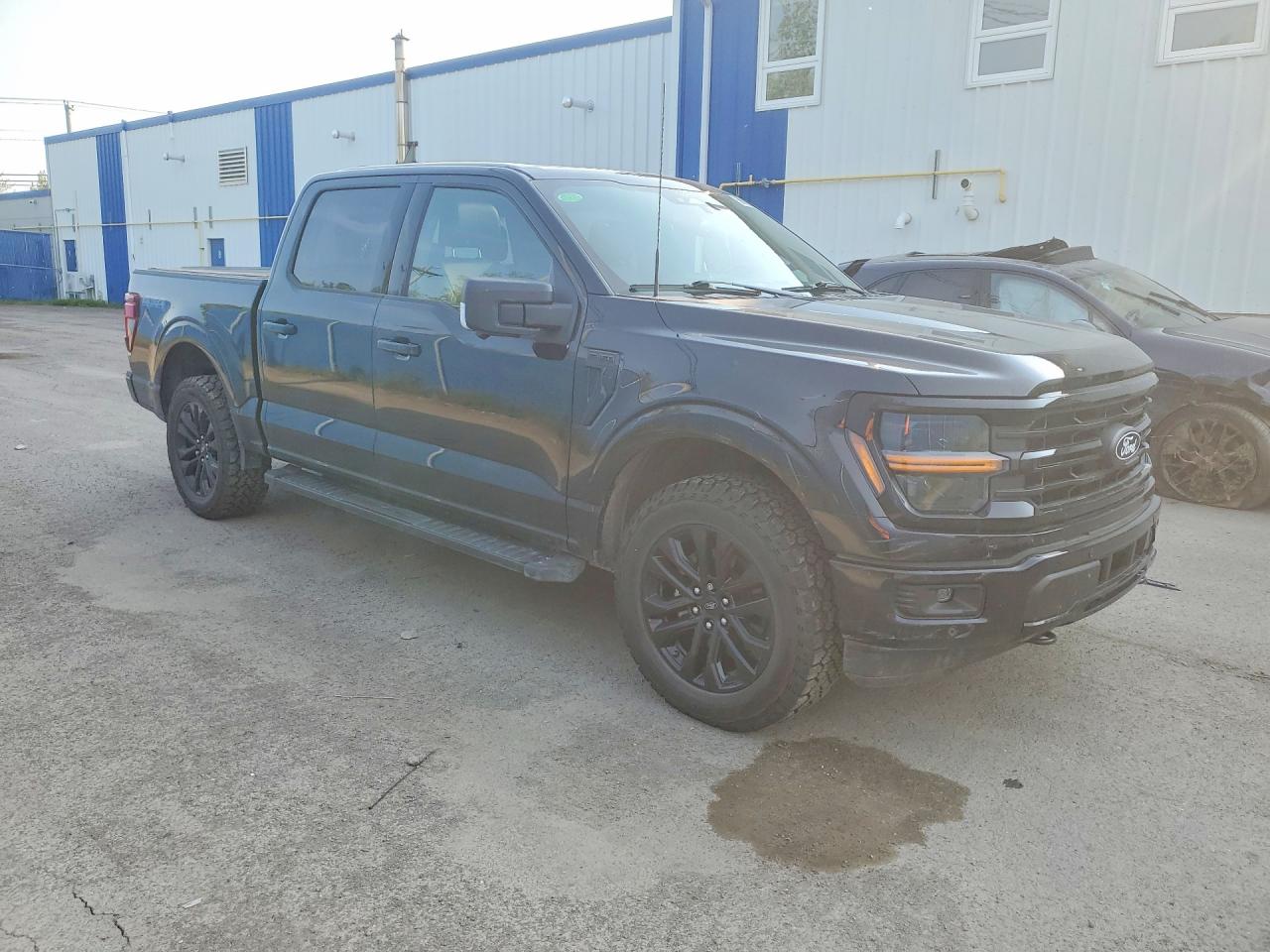 2025 Ford F150 Xlt Black vin: 1FTEW3LP0SFB51421