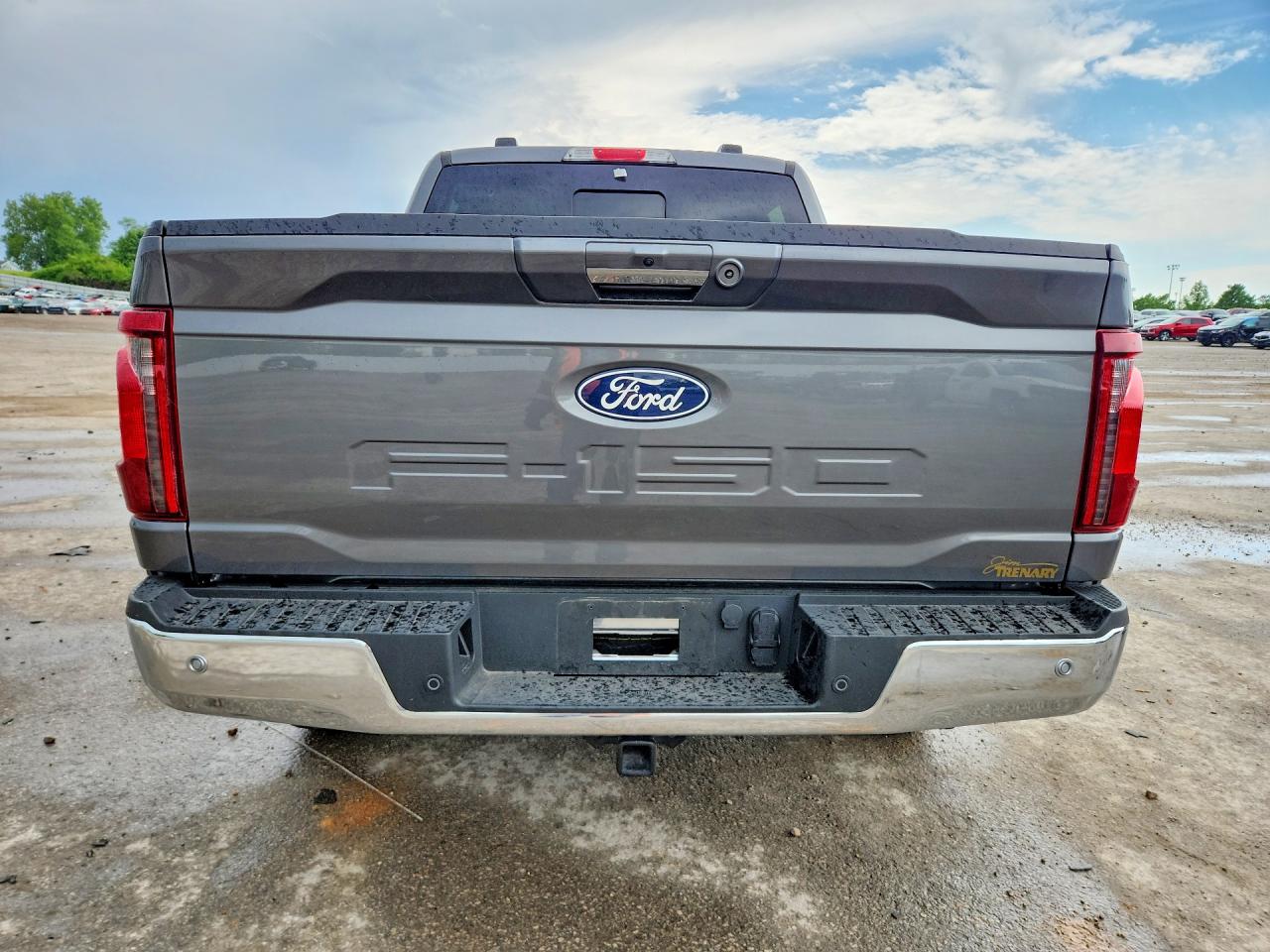 2024 Ford F150 Xlt Gray vin: 1FTEW3LP4RKF79638