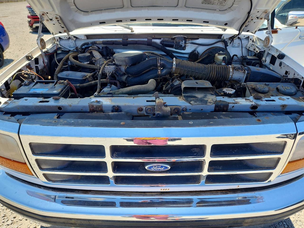 1996 Ford F150 White vin: 1FTEX14H4TKA52179
