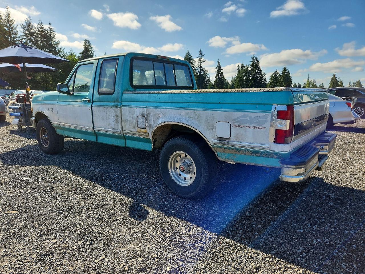 1994 Ford F150 Turquoise vin: 1FTEX14H6RKB26663