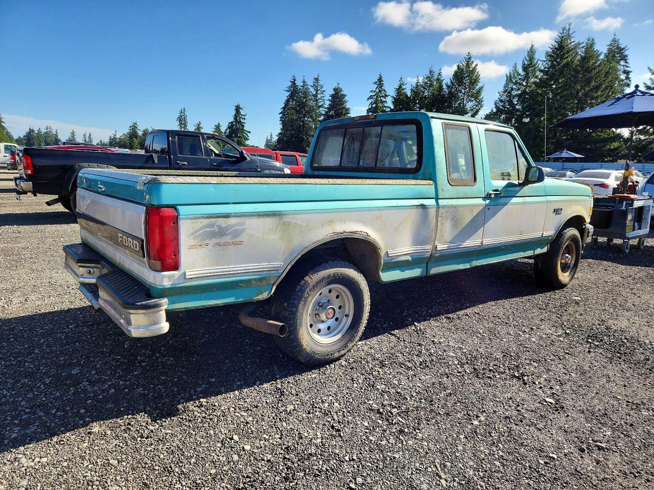1994 Ford F150 Turquoise vin: 1FTEX14H6RKB26663