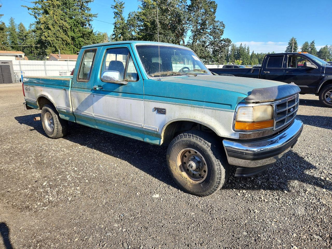 1994 Ford F150 Turquoise vin: 1FTEX14H6RKB26663