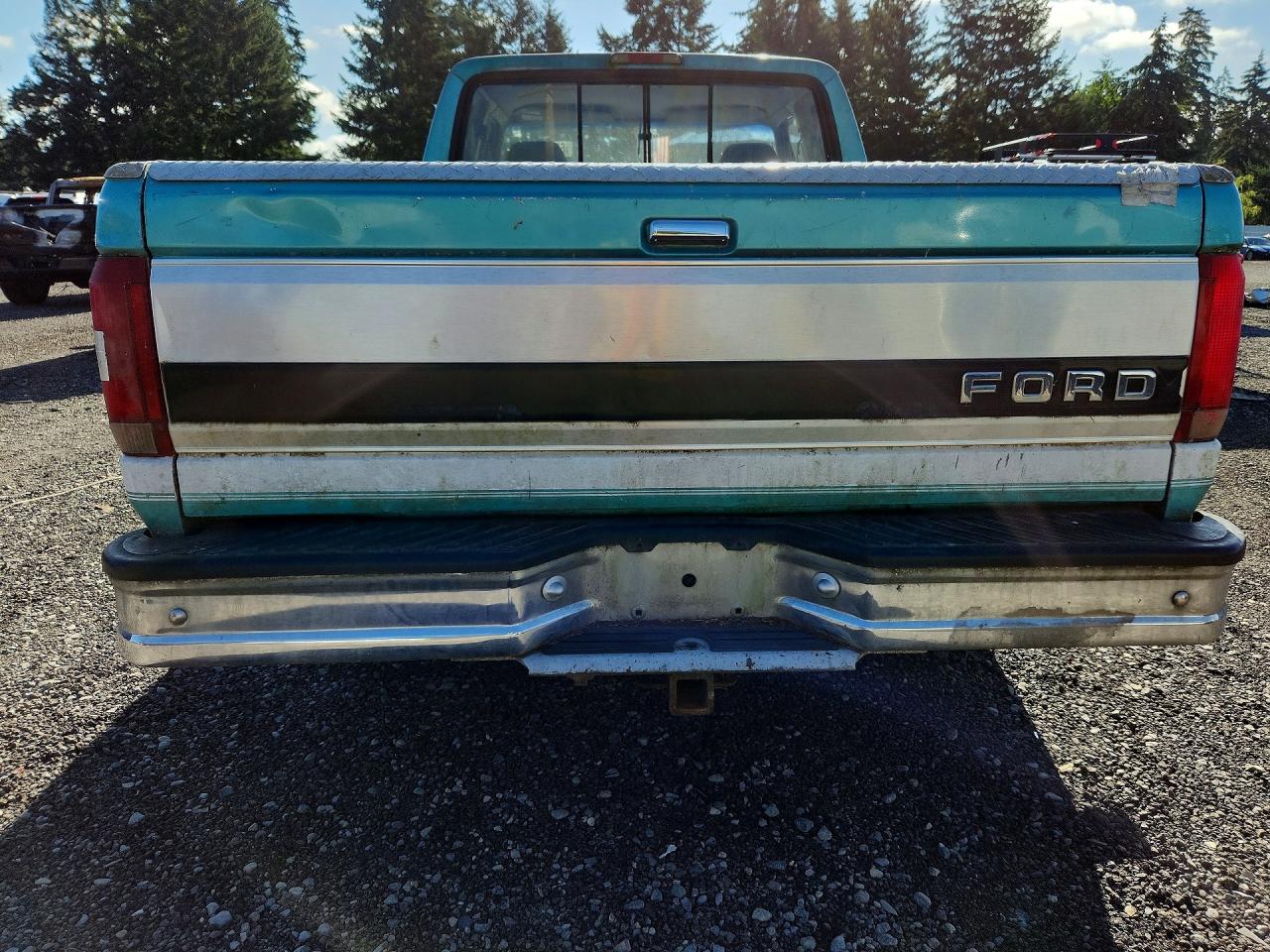 1994 Ford F150 Turquoise vin: 1FTEX14H6RKB26663