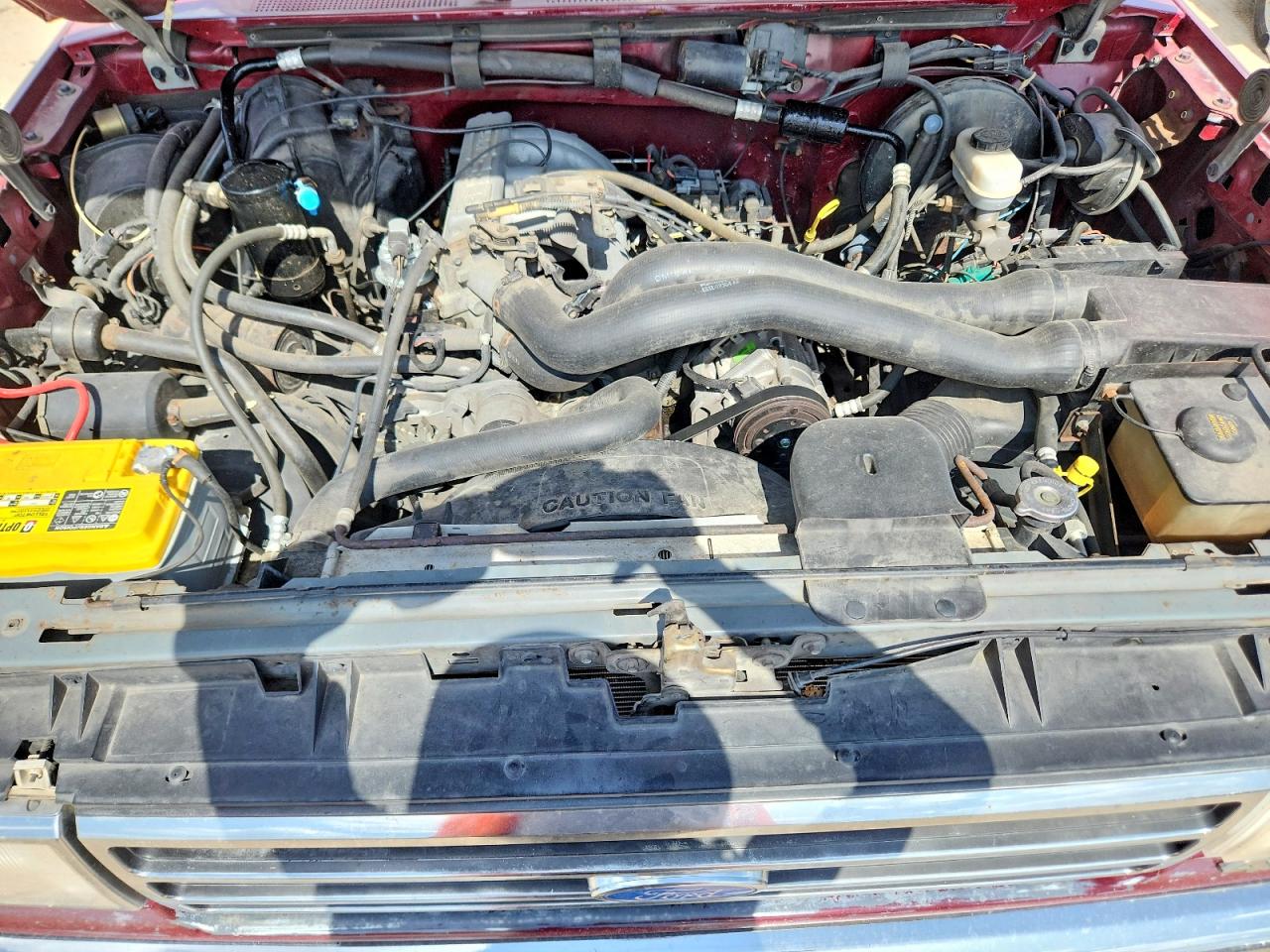 1991 Ford F150 Красный vin: 1FTEX14H7MKB10867