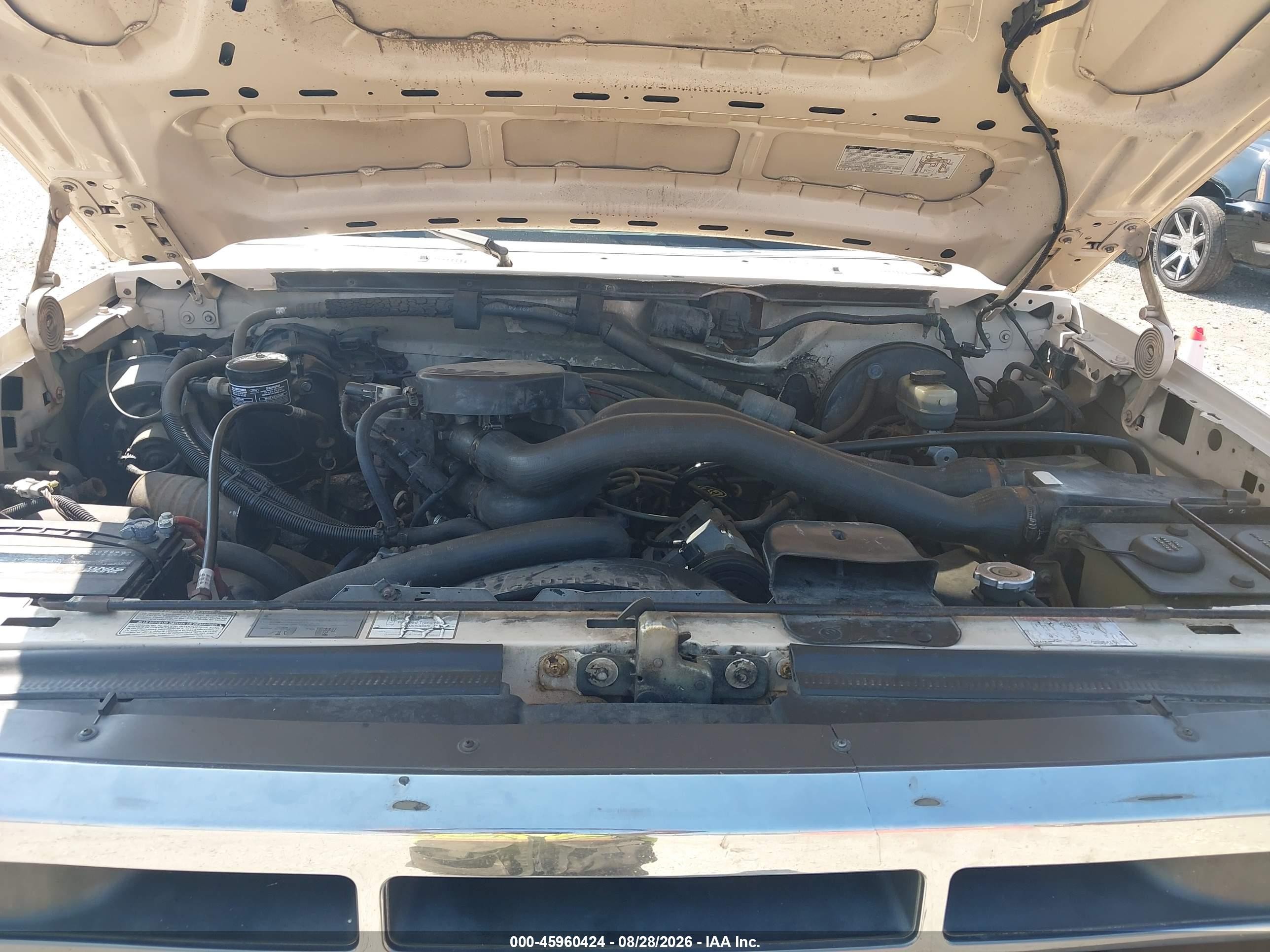 1992 Ford F150   Cream vin: 1FTEX14N1NKA11128