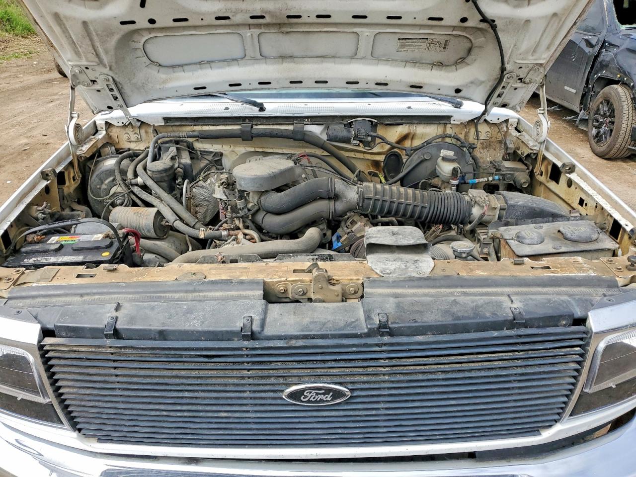1994 Ford F150 White vin: 1FTEX14N8RKB51747
