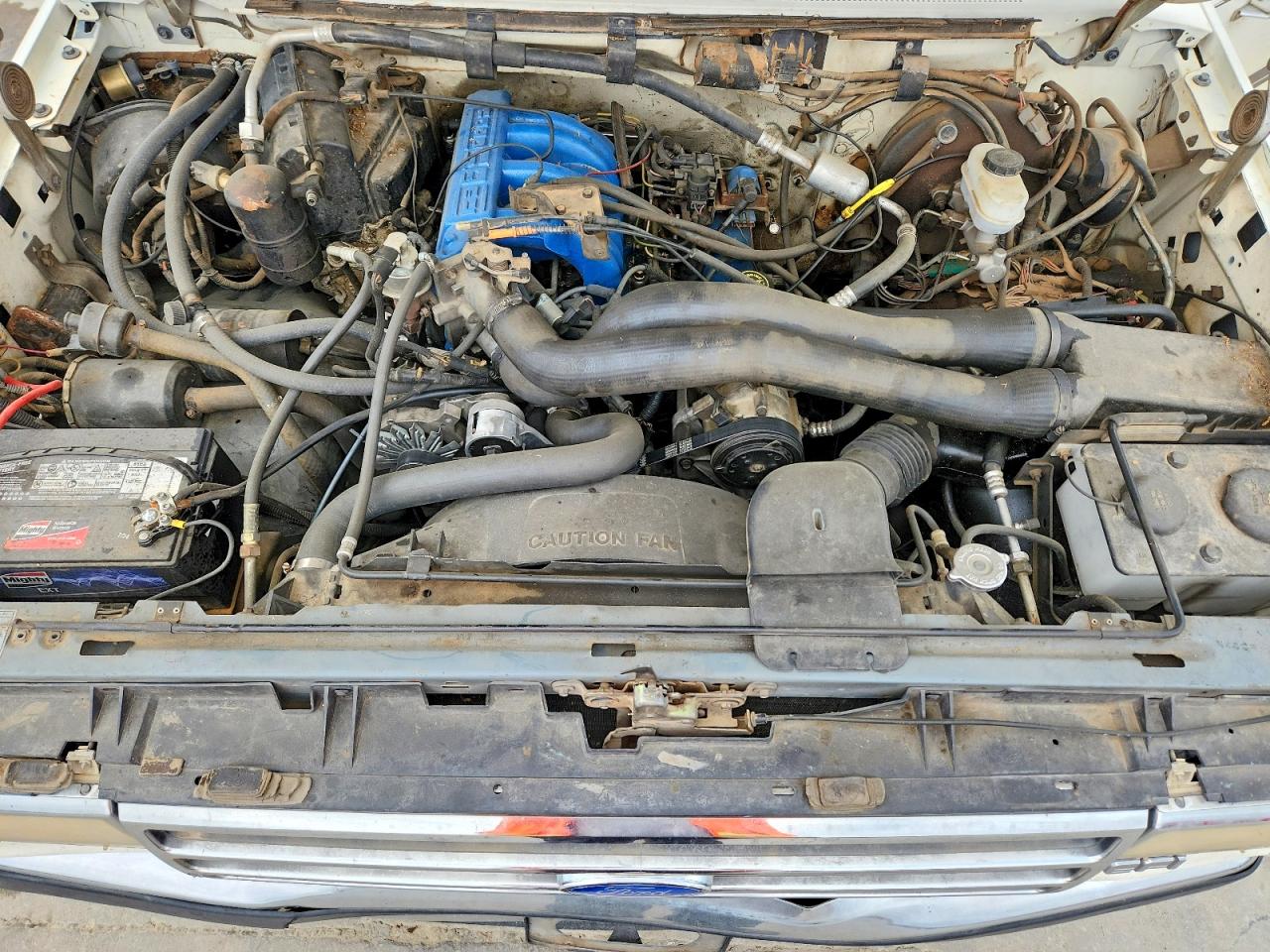 1990 Ford F150 White vin: 1FTEX15H7LKA15268