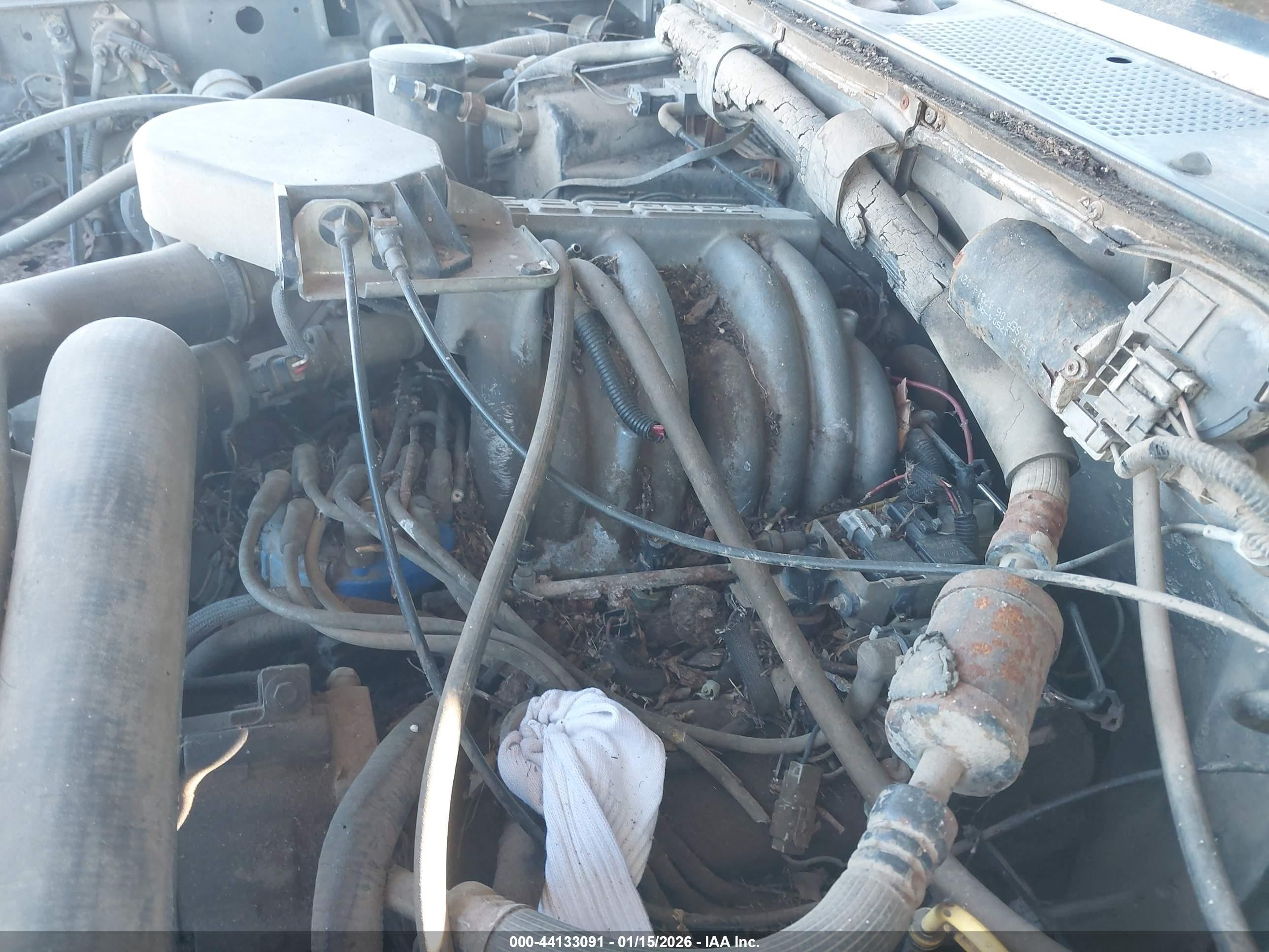 1991 Ford F150   Gray vin: 1FTEX15H9MKA33417