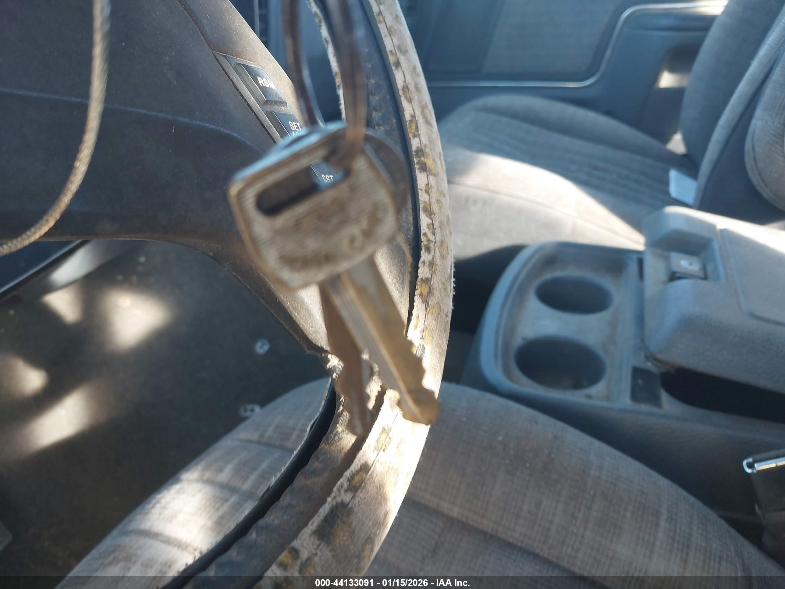 1991 Ford F150   Gray vin: 1FTEX15H9MKA33417