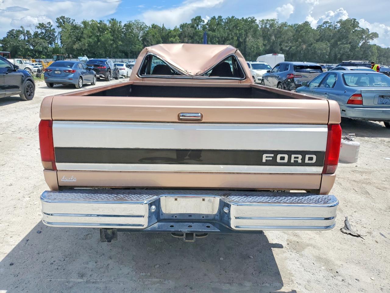 1994 Ford F150 Gold vin: 1FTEX15N0RKB23567
