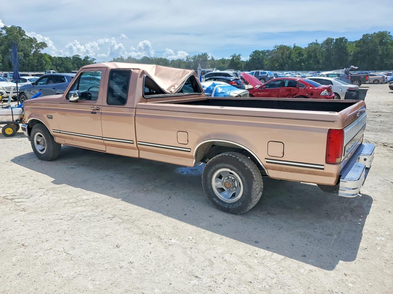 1994 Ford F150 Gold vin: 1FTEX15N0RKB23567