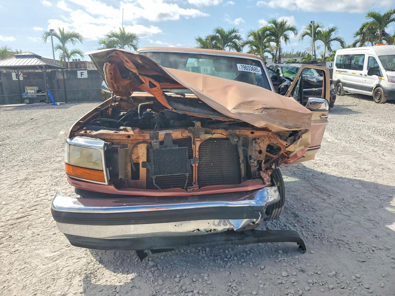 1995 Ford F150 Brown vin: 1FTEX15N3SKA03106