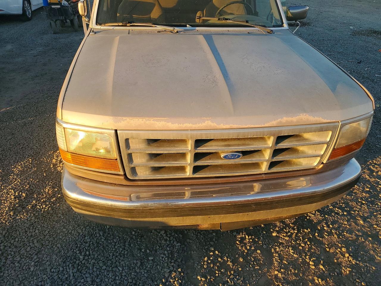 1993 Ford F-150 Коричневый vin: 1FTEX15N4PKA10766