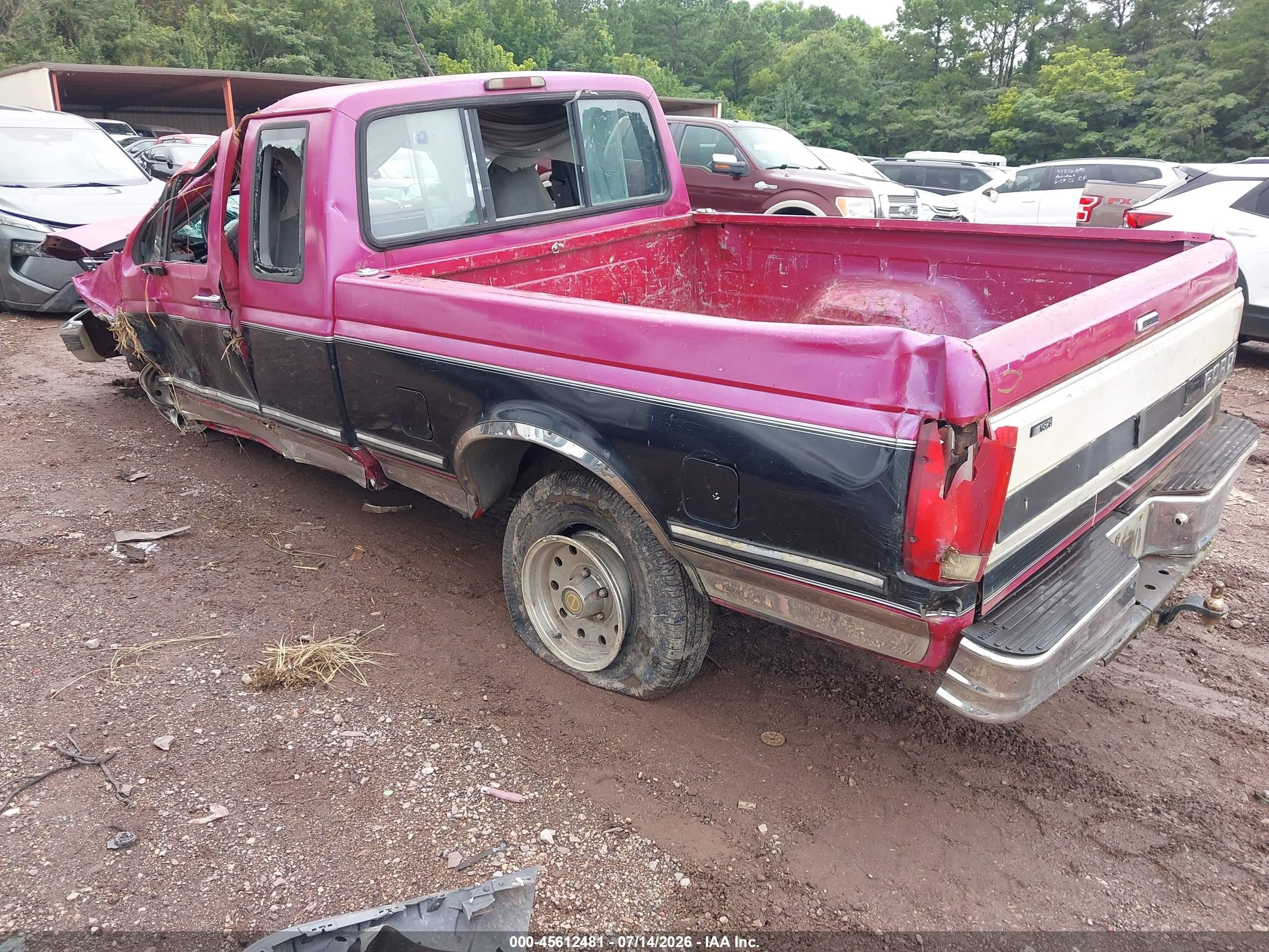 1994 Ford F150 Pink vin: 1FTEX15N4RKA31359