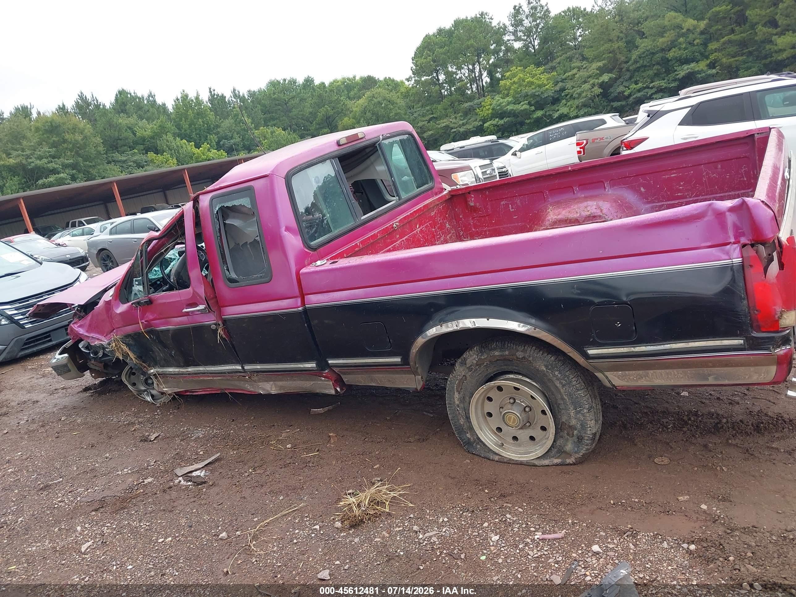 1994 Ford F150 Pink vin: 1FTEX15N4RKA31359