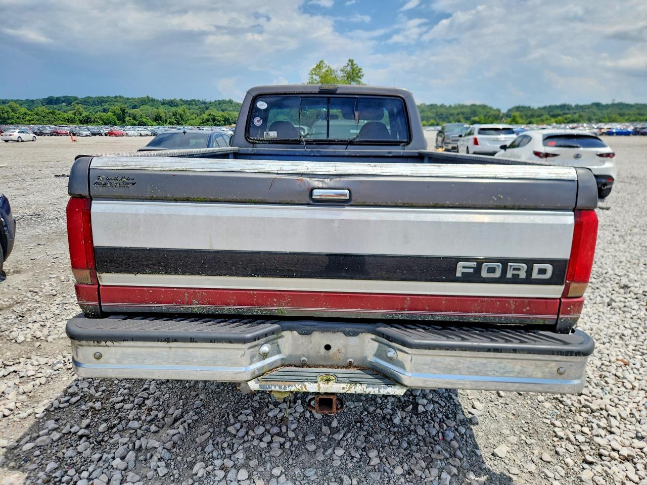 1993 Ford F150 Gray vin: 1FTEX15NXPKB03937