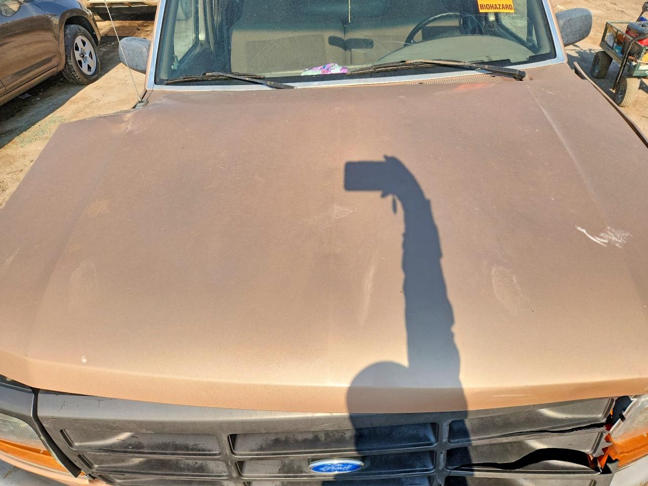 1996 Ford F150 Tan vin: 1FTEX15Y1TKA09367