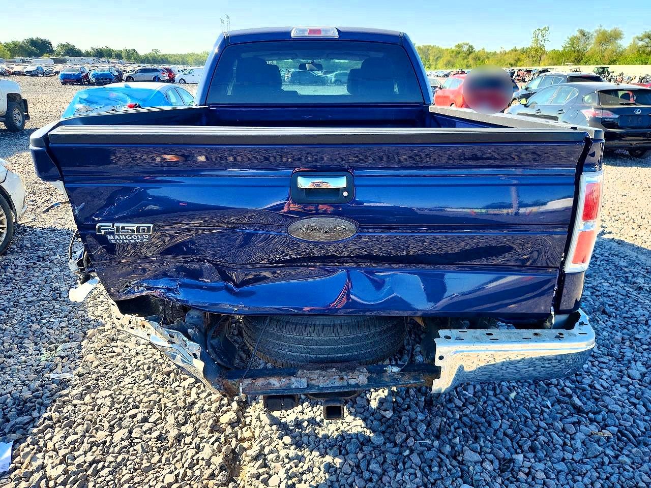2010 Ford F150 Blue vin: 1FTEX1C89AFB04767