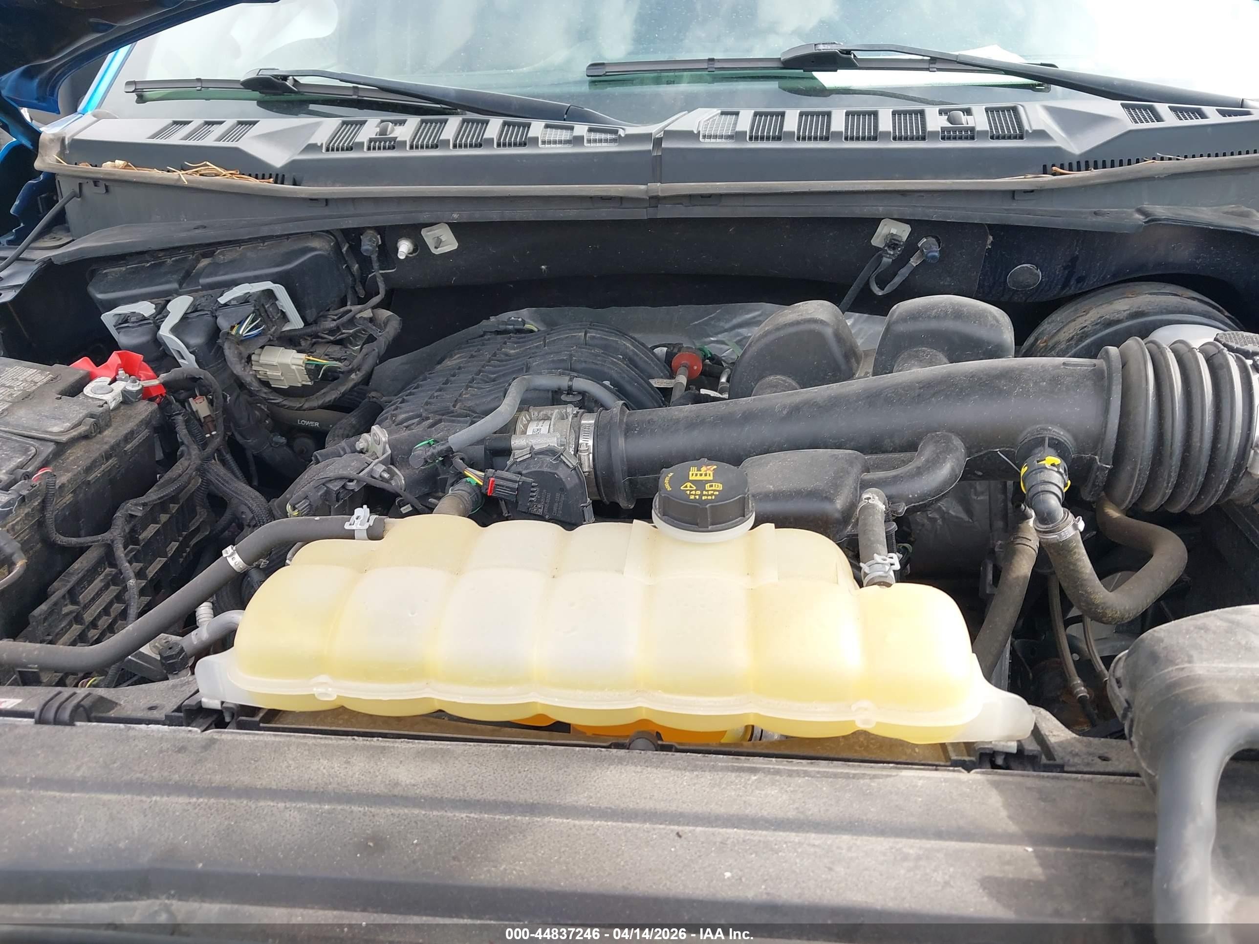 2019 Ford F-150 Xlt Blue vin: 1FTEX1CB4KFB65120