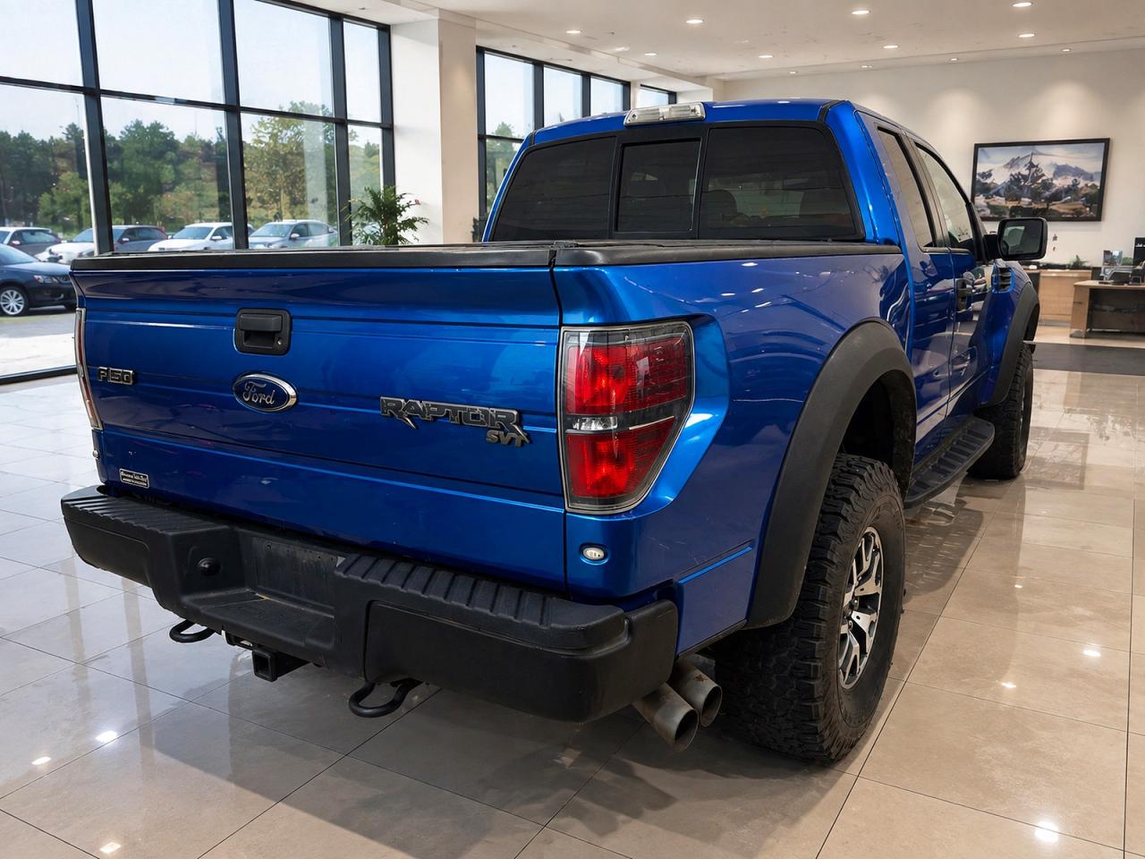 2010 Ford F150 Super Cab Blue vin: 1FTEX1E69AFB99066