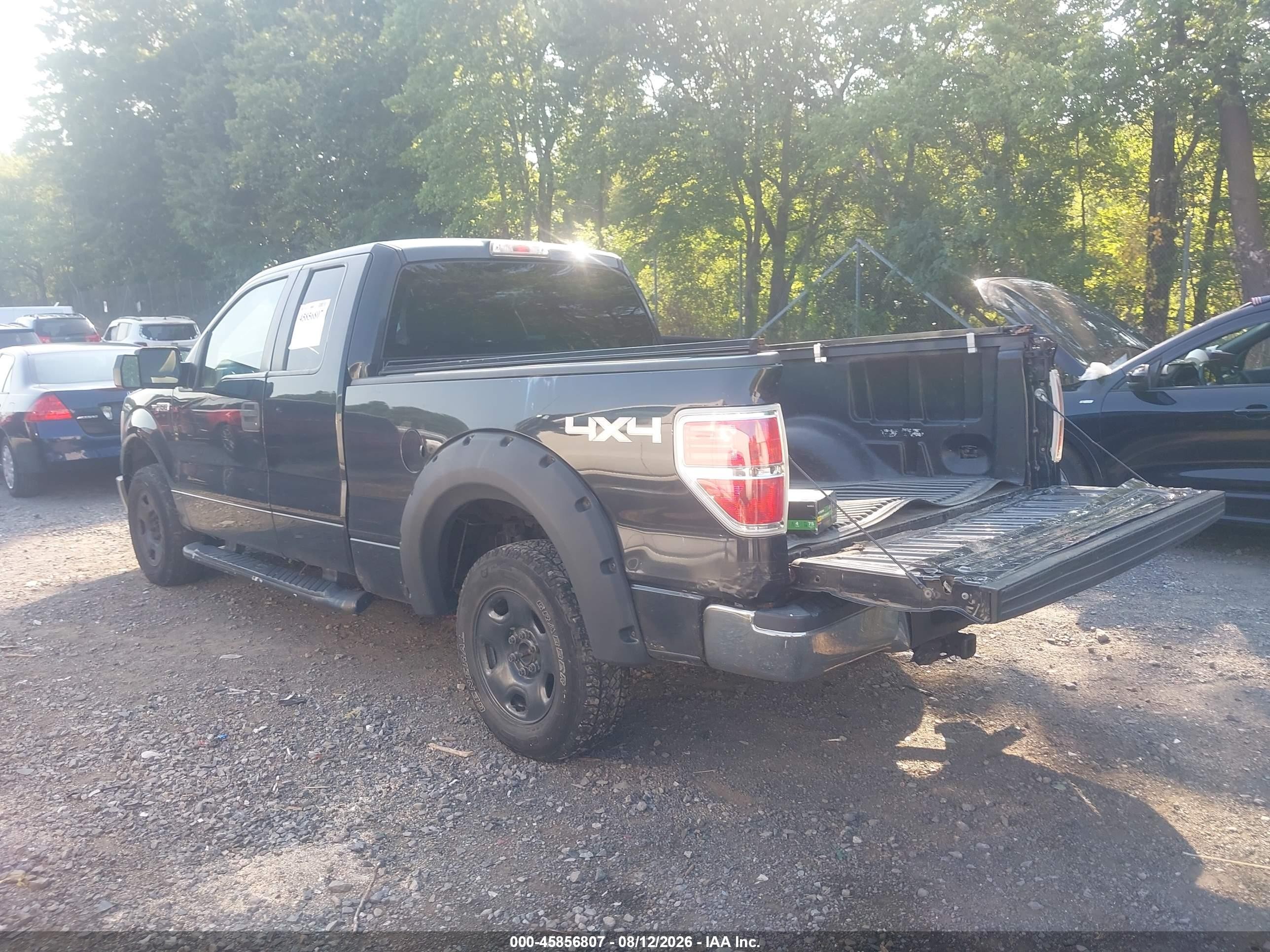 2010 Ford F-150 Xlt Black vin: 1FTEX1E88AFB40401