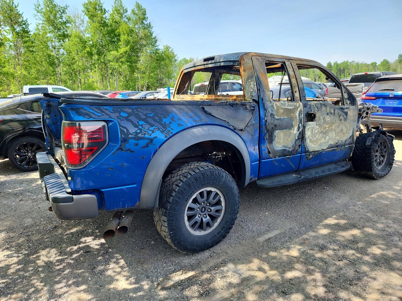 2010 Ford F150 Blue vin: 1FTEX1EV9AFA28549