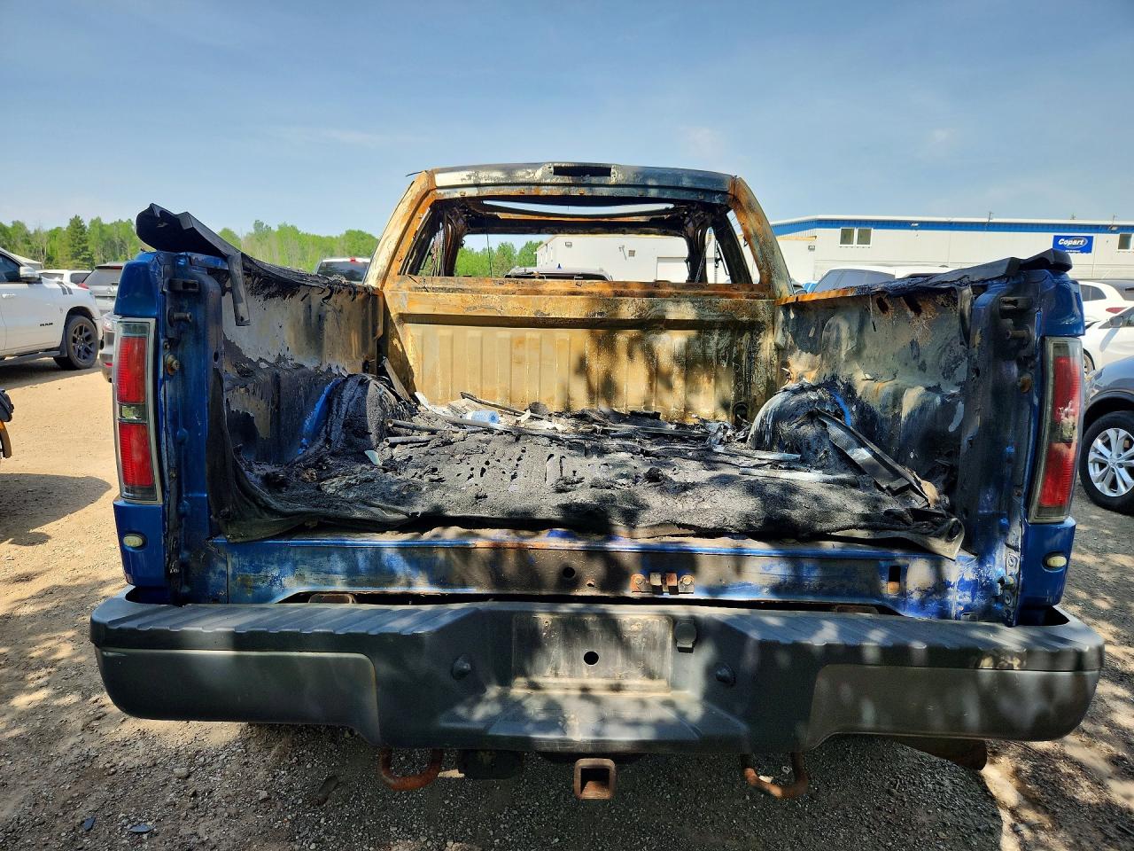 2010 Ford F150 Blue vin: 1FTEX1EV9AFA28549