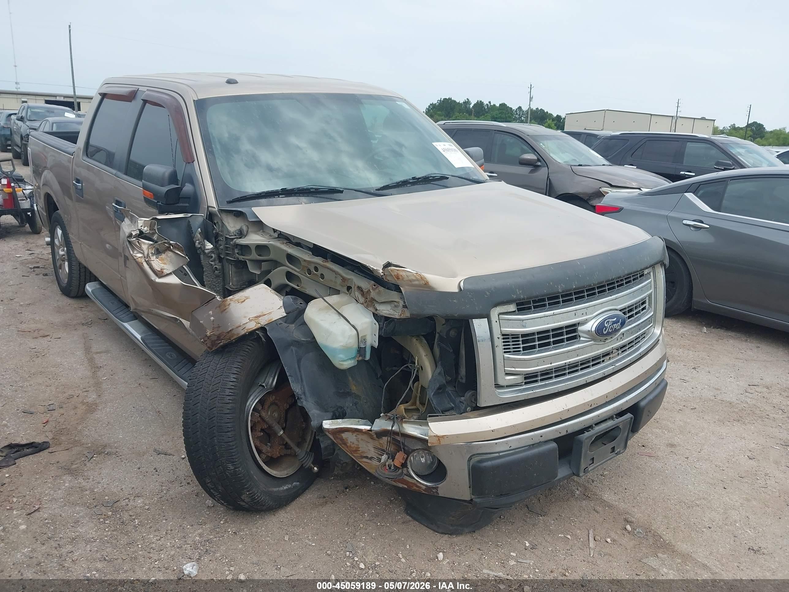 2013 Ford F-150 Xlt Beige vin: 1FTFW1CF1DFC71151