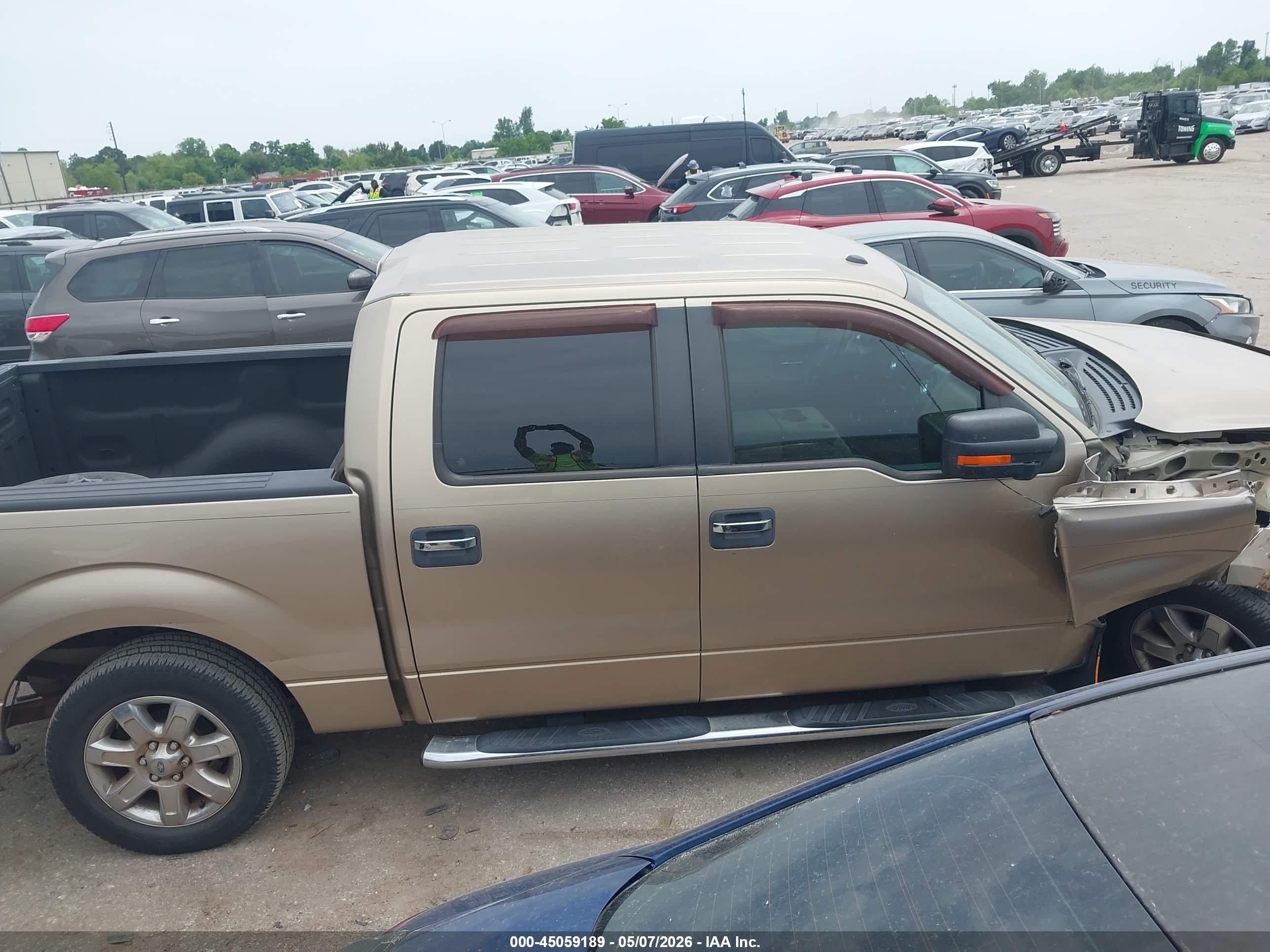 2013 Ford F-150 Xlt Beige vin: 1FTFW1CF1DFC71151